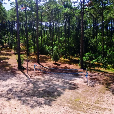 Les Cavales * Carcans