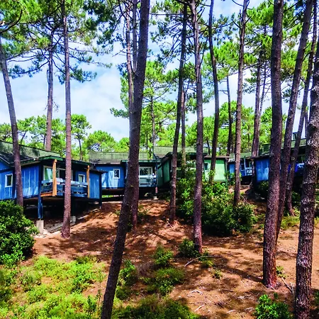 Les Cavales * Carcans