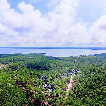 Les Cavales * Carcans