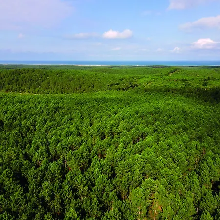 Les Cavales * Carcans