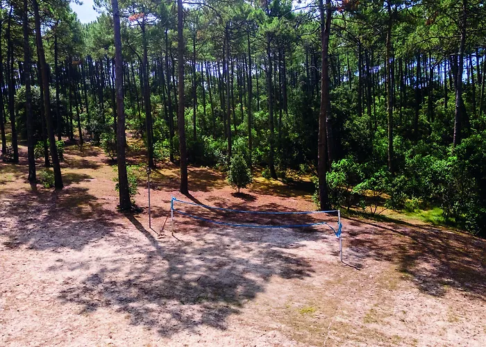 Les Cavales * Carcans