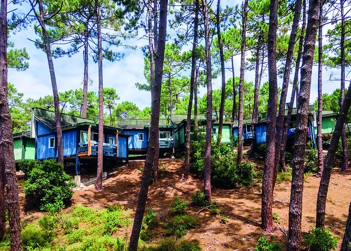 Les Cavales * Carcans