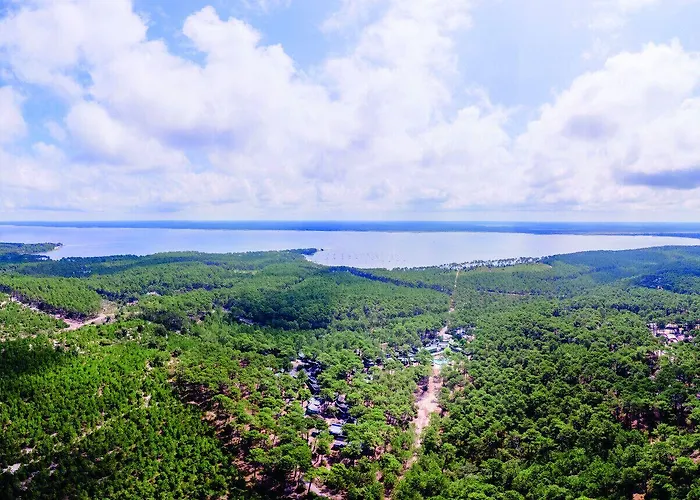 Les Cavales * Carcans